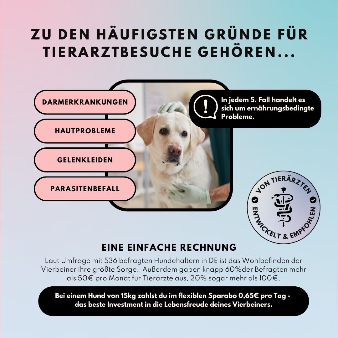Gelenkpulver für Hunde mit Glucosamin, Grünlippmuschel & Kurkuma (200g)
