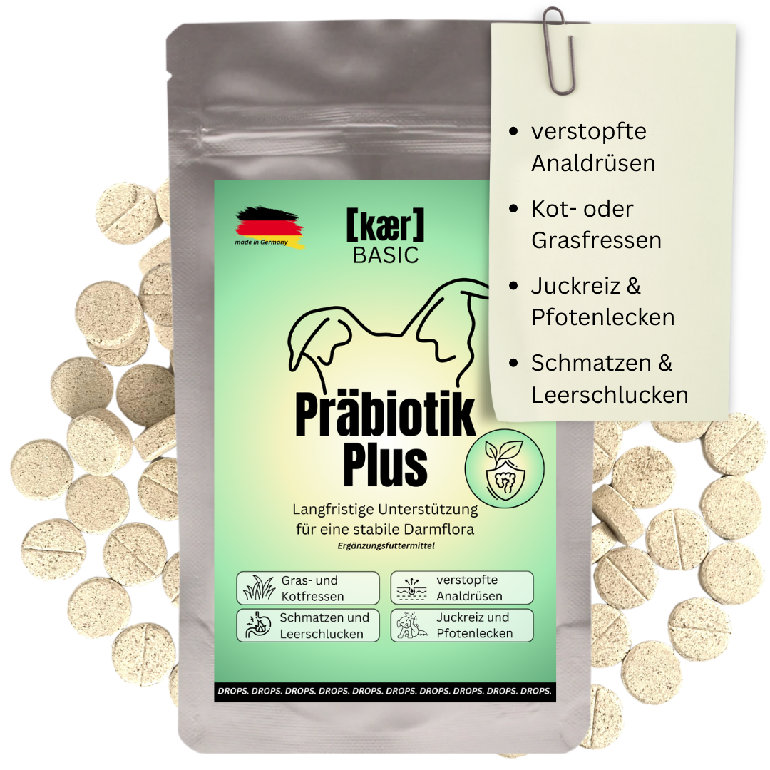kaer basic – Präbiotische Magen-Darm-Drops: Bei Analdrüsen, Sodbrennen, Gras und Kot fressen & Juckreiz