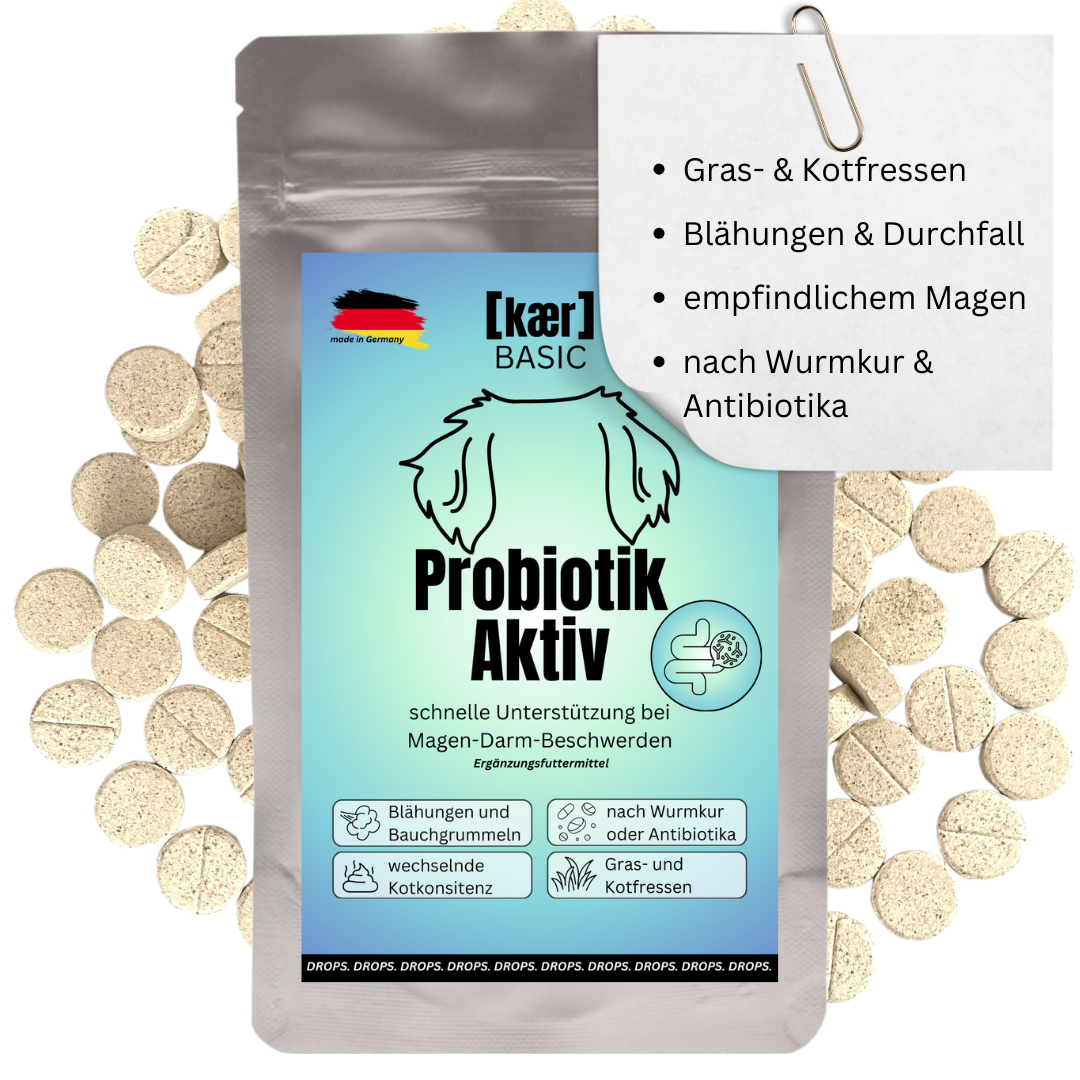 kaer basic Probiotik Aktiv – Funktionale Drops zum Aufbau der Darmflora. Ideal nach Antibiotika, bei Blähungen oder Kotfressen.