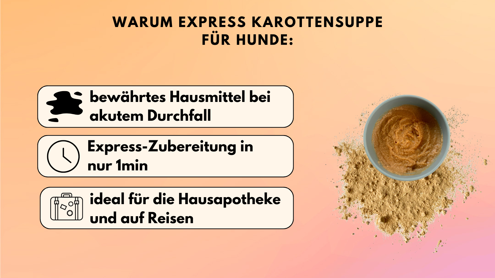 Karottensuppe für Hunde