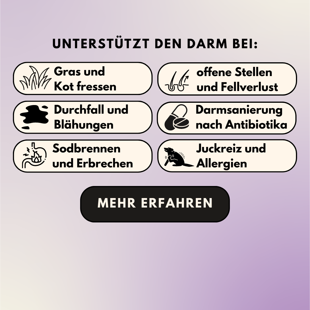 Darmpulver für Allergiker und Mäkler (200g)