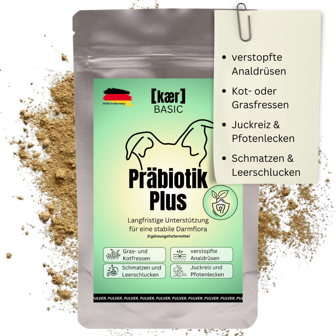 kaer basic – Präbiotisches Magen-Darm-Pulver: Bei Analdrüsen, Sodbrennen, Gras und Kot fressen & Juckreiz