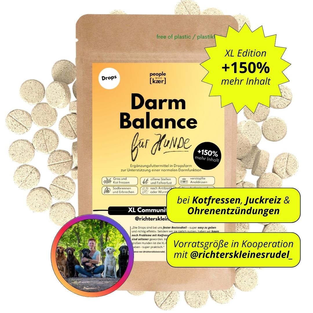Darm Balance Drops – Vorratsgröße (150 Stk.) | Community Edition mit @richterskleinesrudel_