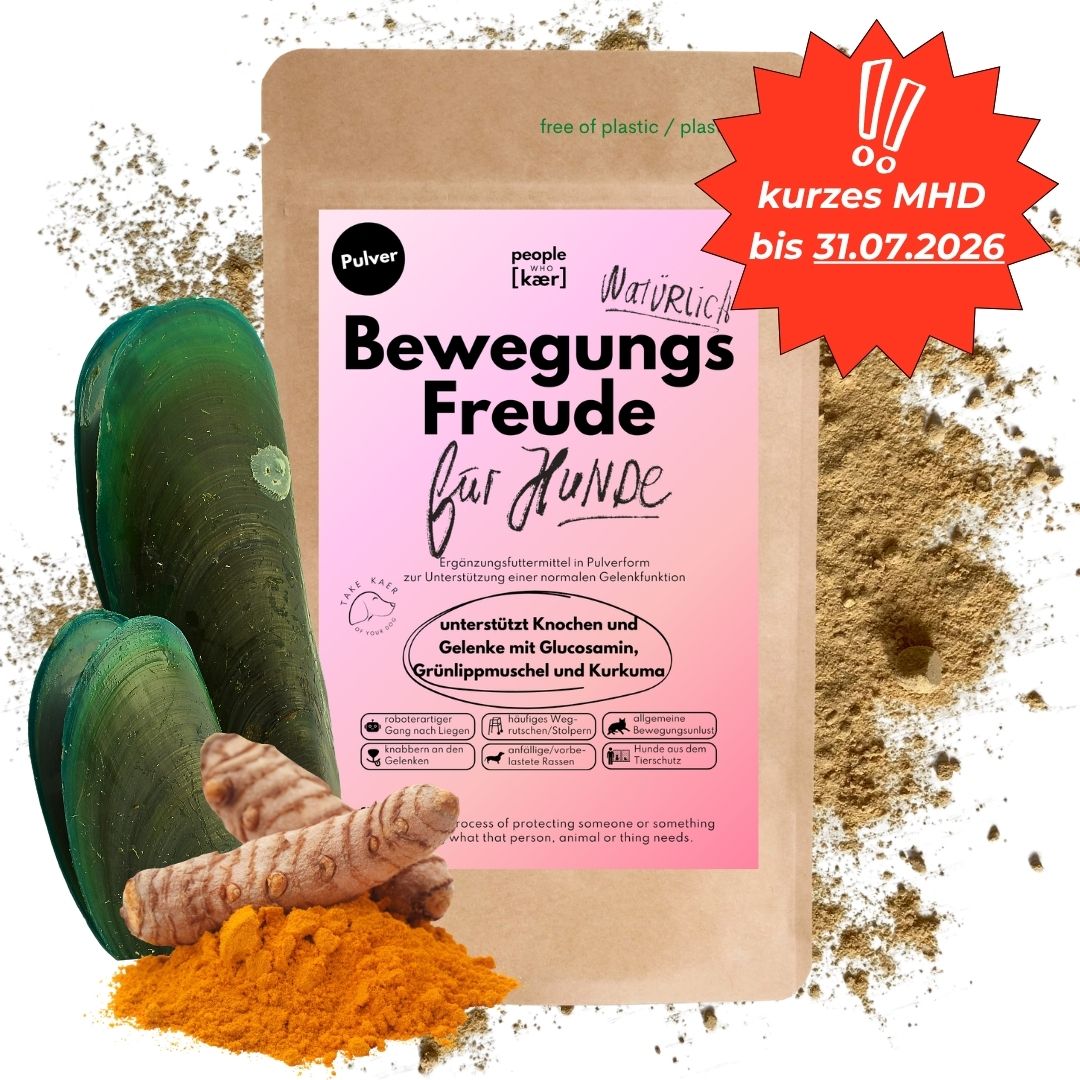 Gelenkpulver für Hunde mit Glucosamin, Grünlippmuschel & Kurkuma (200g)