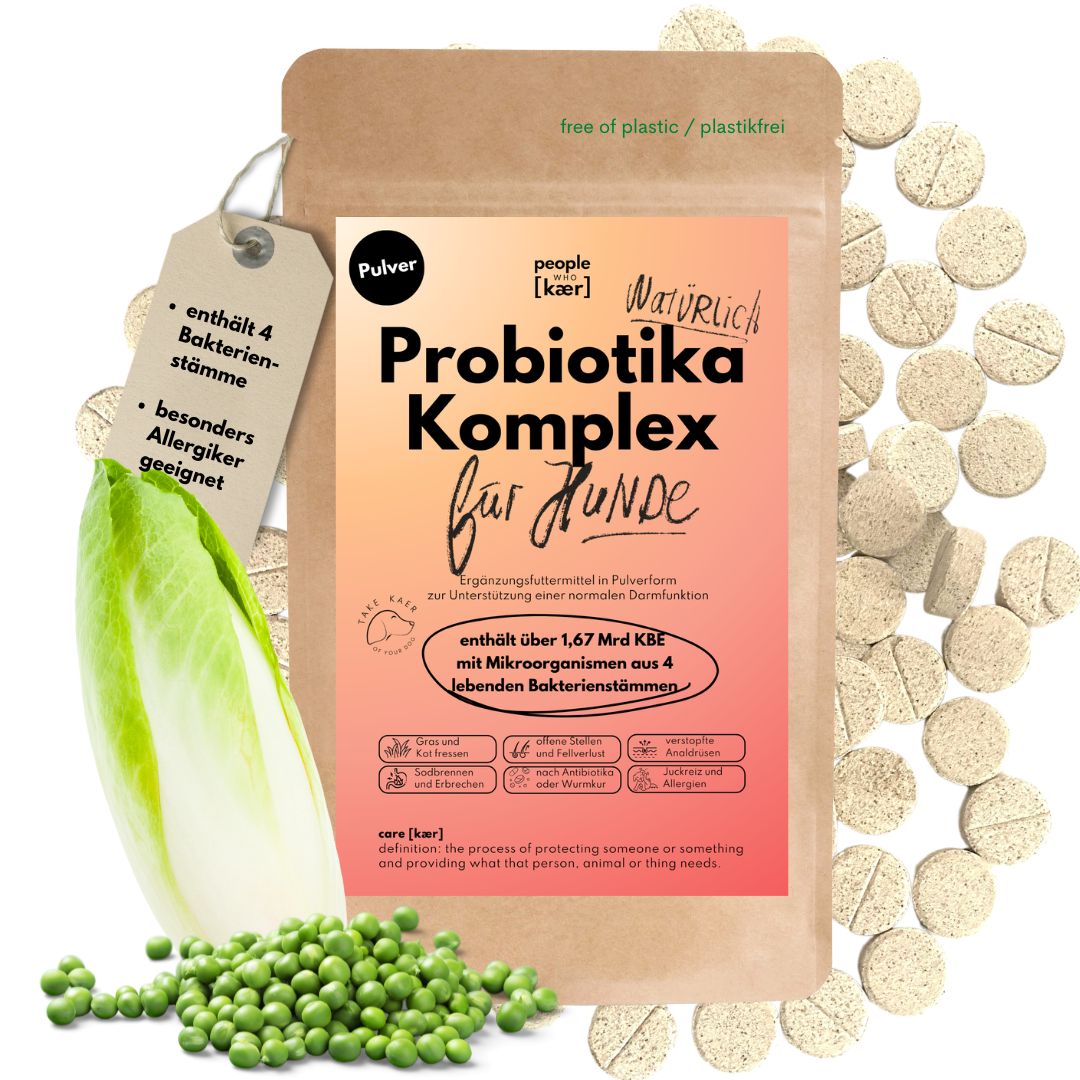 Probiotika Komplex Drops mit wertvollen Bakterienkulturen & Ballaststoffen (60 Stk.)