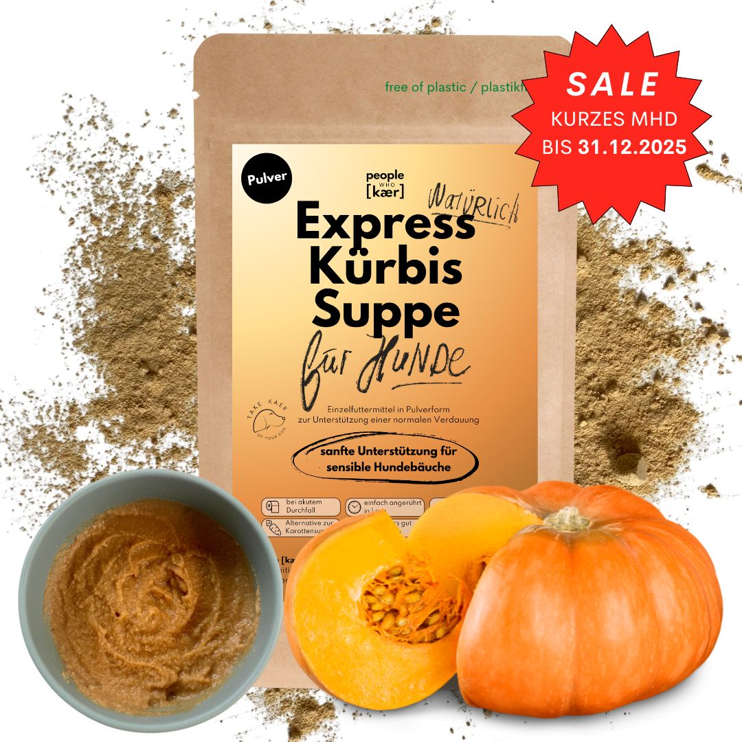 Express Kürbissuppe (kurzes MHD) | Sanfte Unterstützung bei Durchfall & sensibler Verdauung (200g)