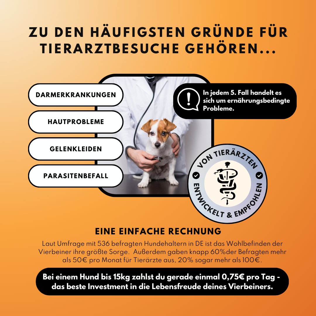 Morosche Karottensuppe - Karottenpulver mit Apfel verfeinert (200g)