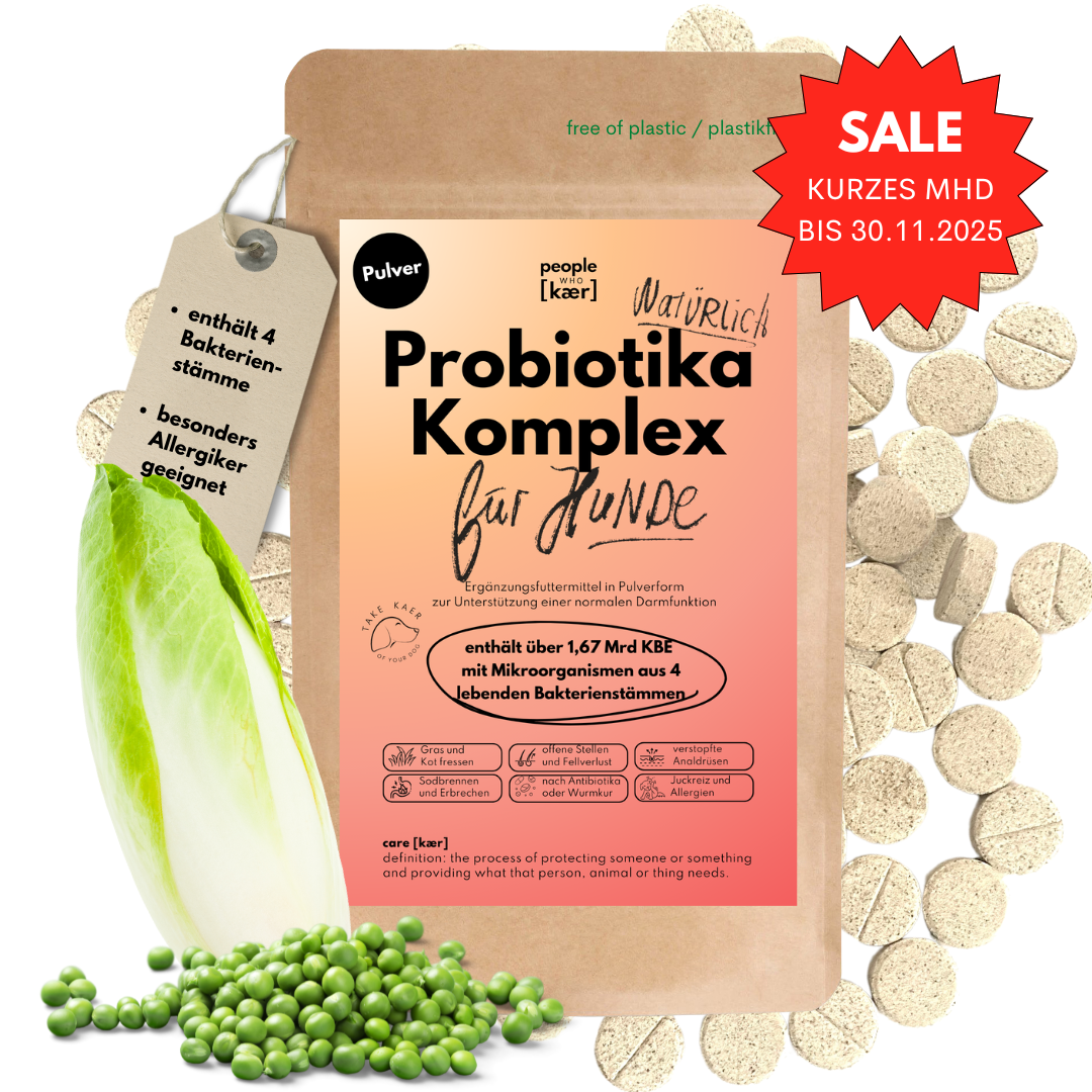 Probiotika Komplex Drops mit wertvollen Bakterienkulturen & Ballaststoffen (60 Stk.)