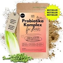 Probiotika Komplex Pulver mit 4 aktiven Bakterienstämmen
