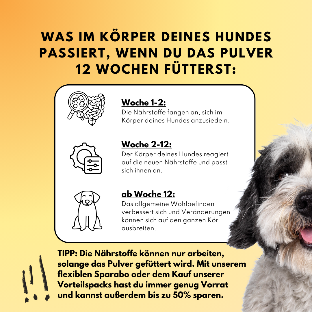 Darmpulver für Hunde mit Prä- & Probiotika, Flohsamenschalen und Inulin (200g)