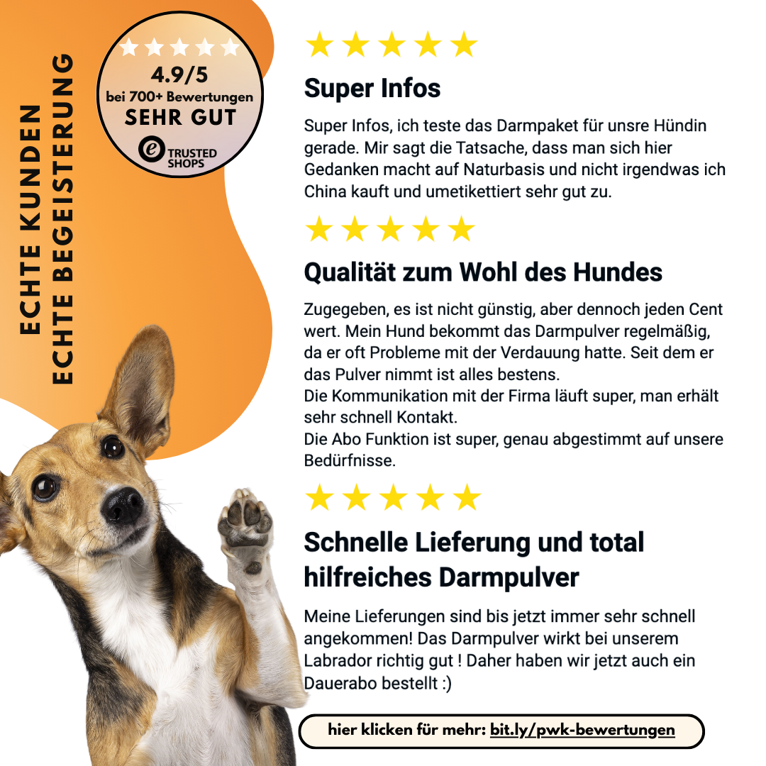 Morosche Karottensuppe - Karottenpulver mit Apfel verfeinert (200g)