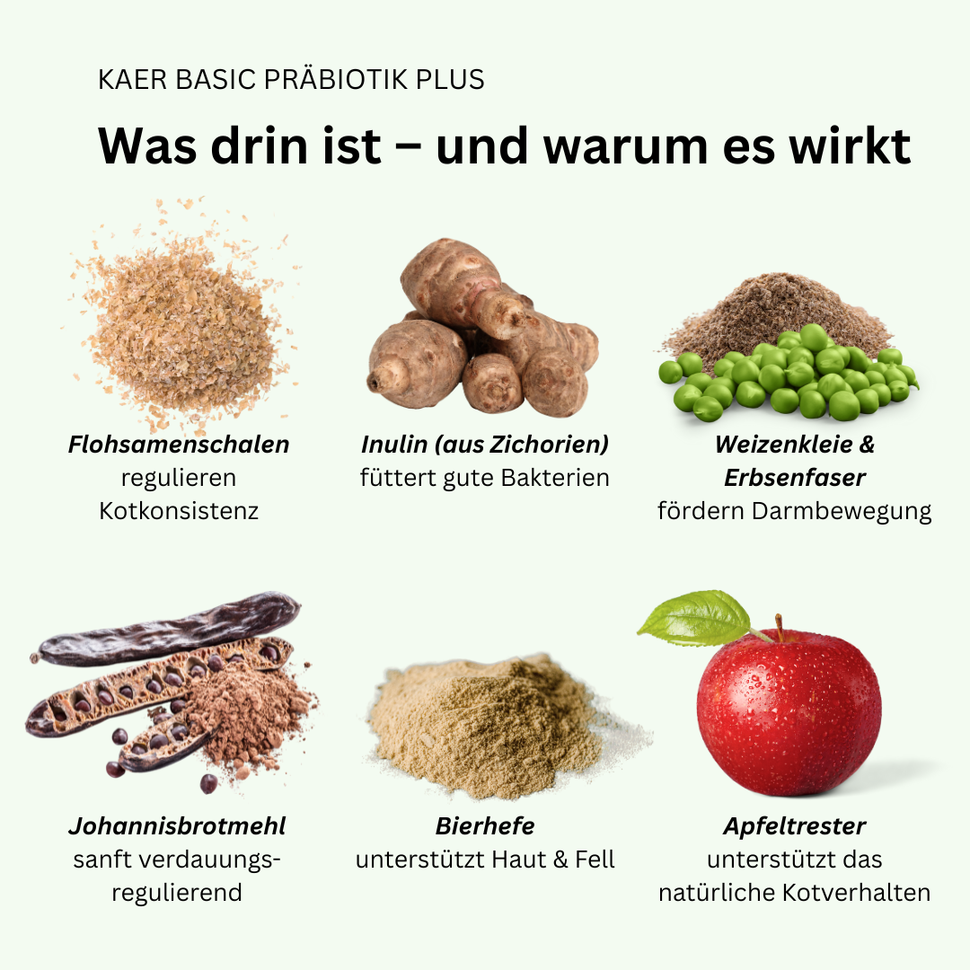Präbiotikum zum Kot festigen – Speziell bei verstopften Analdrüsen & Schlittenfahren