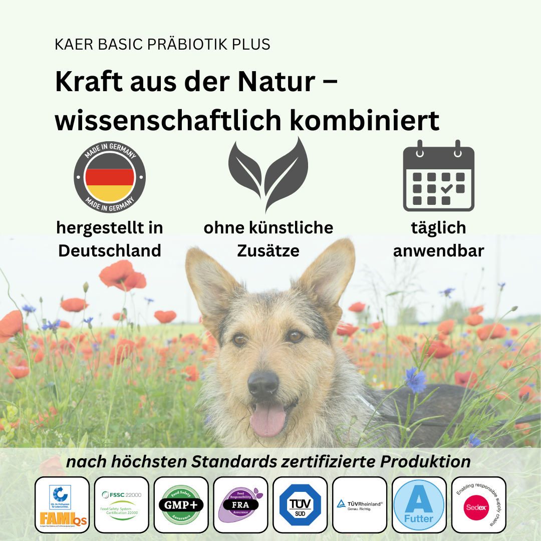 Präbiotikum zum Kot festigen – Speziell bei verstopften Analdrüsen & Schlittenfahren