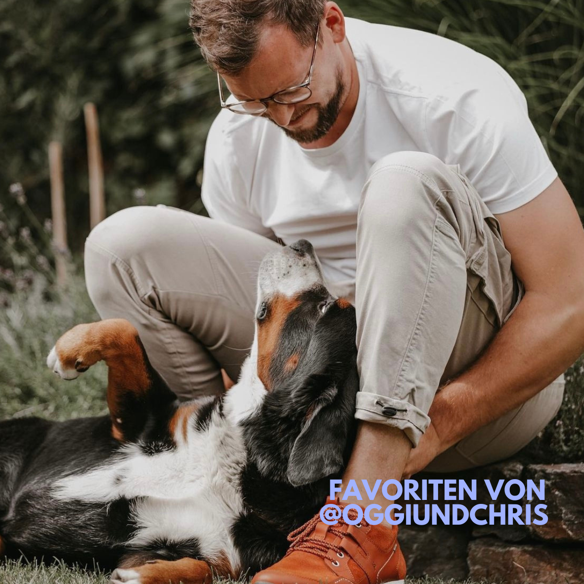 Favoriten Box von @oggiundchris