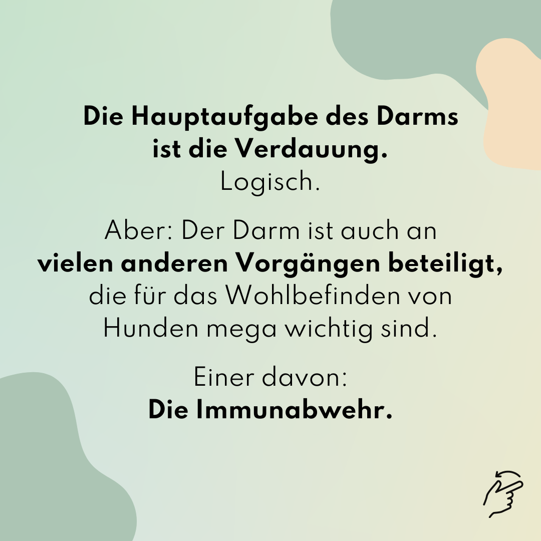 Sparset - "Abwehrkräfte" (Darmpulver + Immunpulver)