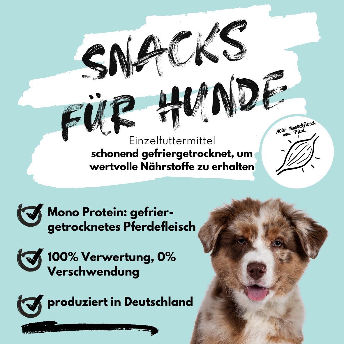 Super Leckerli aus 100% gefriergetrocknetem Muskelfleisch vom Pferd (80g)