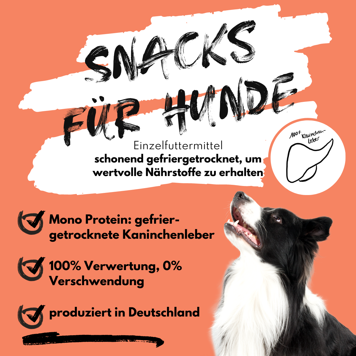 Super Leckerli aus 100% gefriergetrockneter Kaninchenleber (90g)