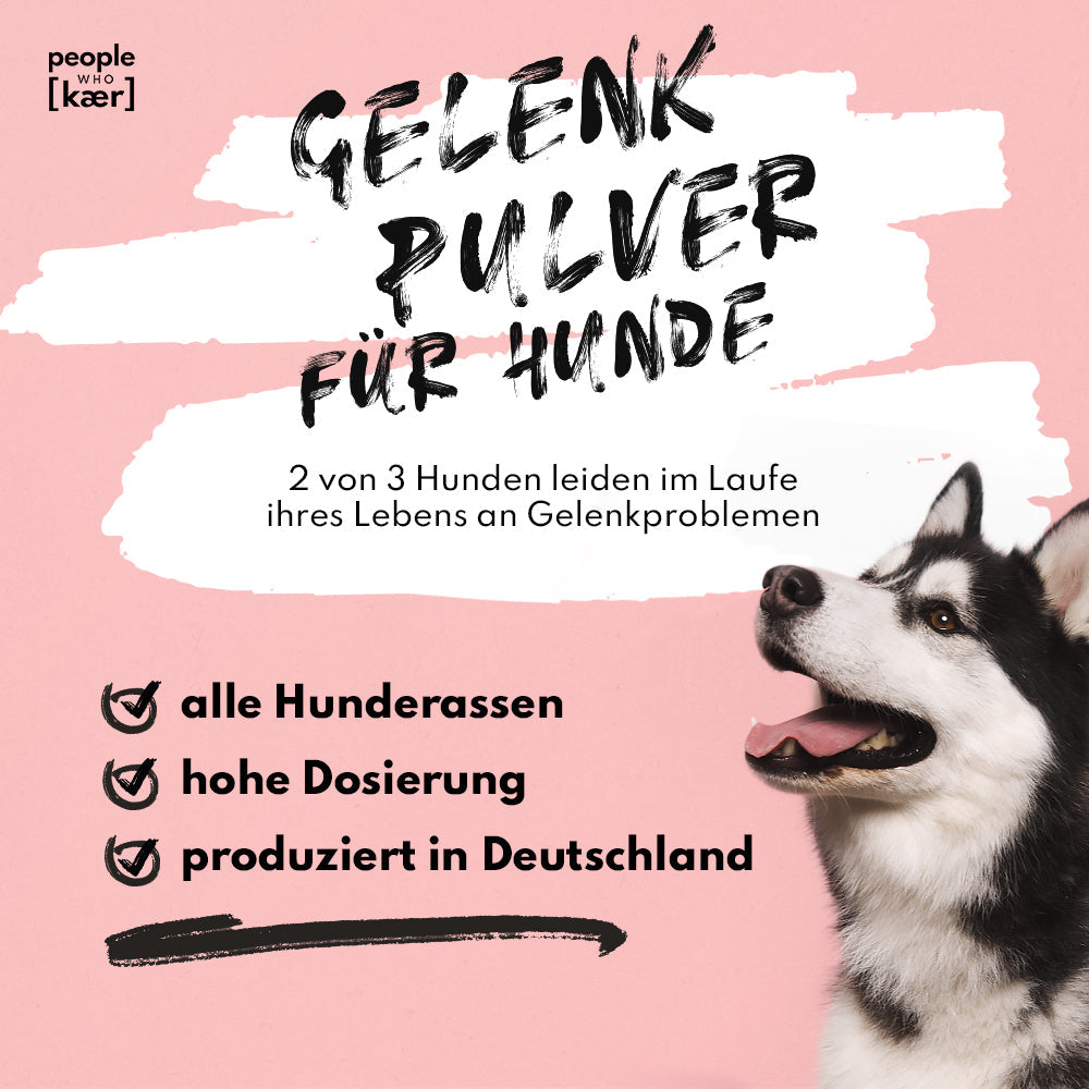 Gelenkpulver für Hunde mit Glucosamin, Grünlippmuschel & Kurkuma (200g)